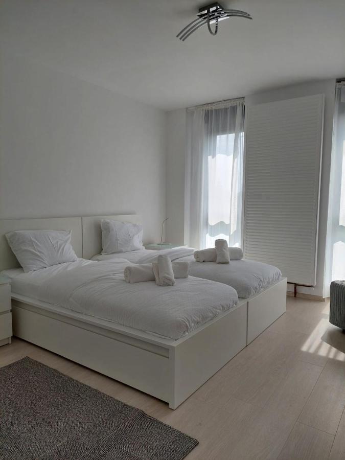 Casa Maria City Apartments Timişoara Exterior foto
